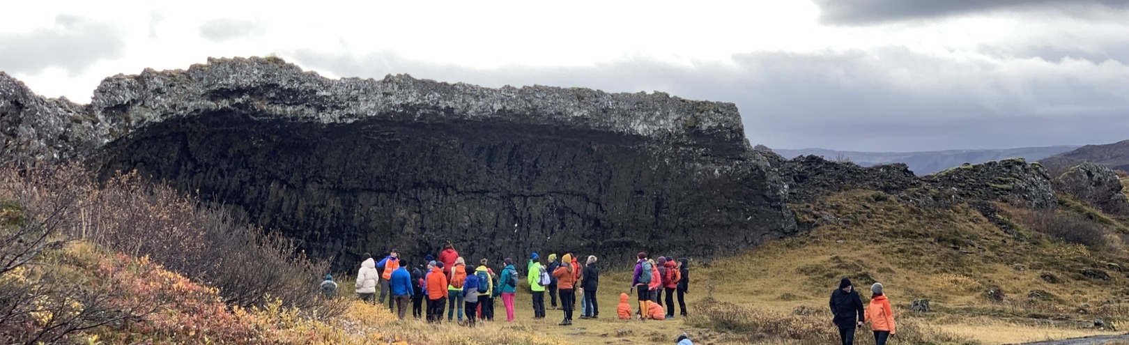 Lava and autumn colours in Búrfellsgjá on Saturday - Available at University of Iceland