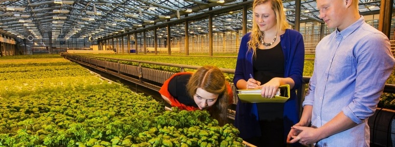 International Master's Programme in Food Science - Available at University of Iceland